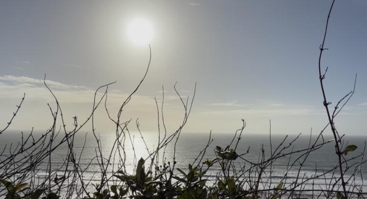 Learning to Edit, Remembering to Breathe 💜