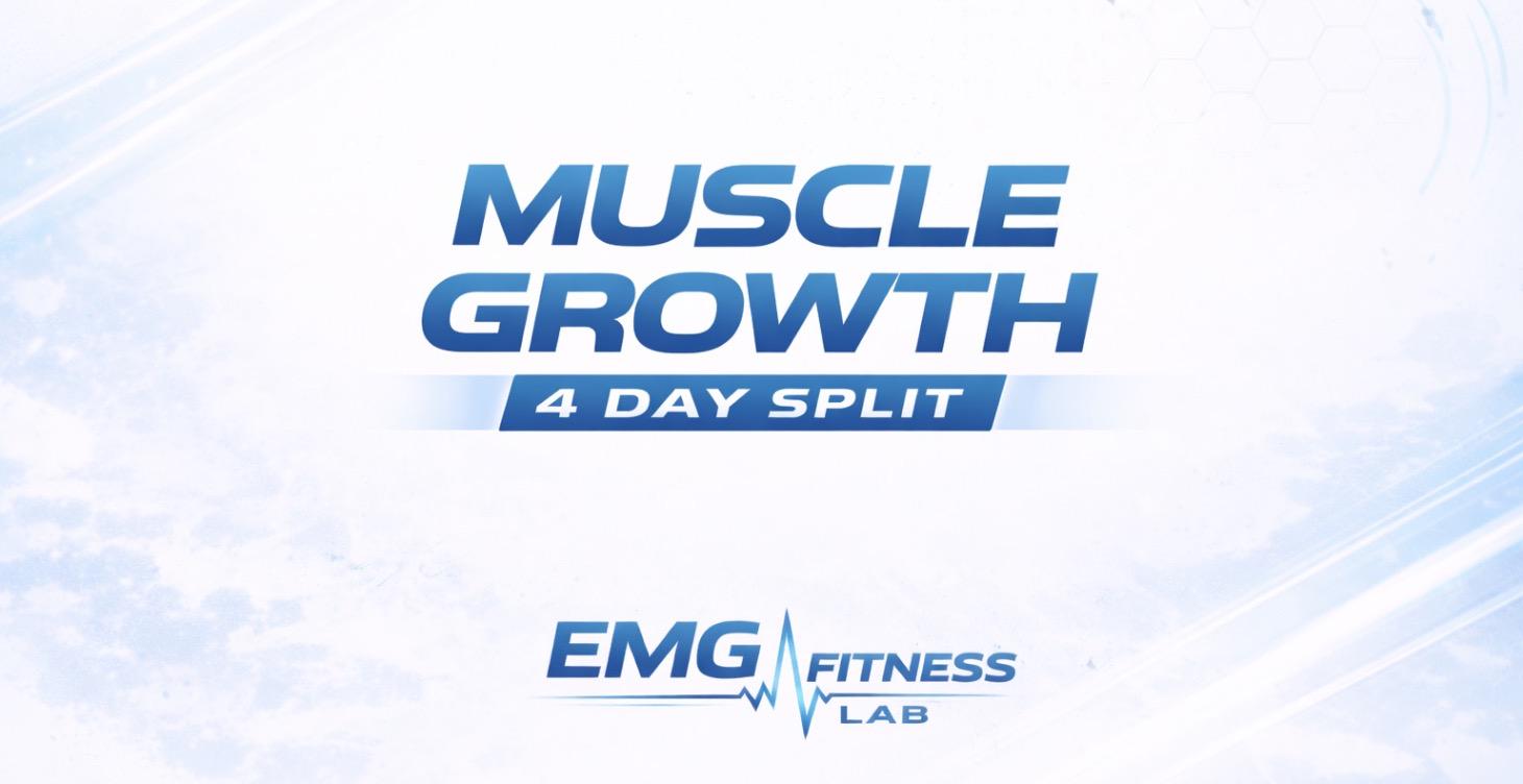 Intermediate - 4 Day Split Muscle Growth