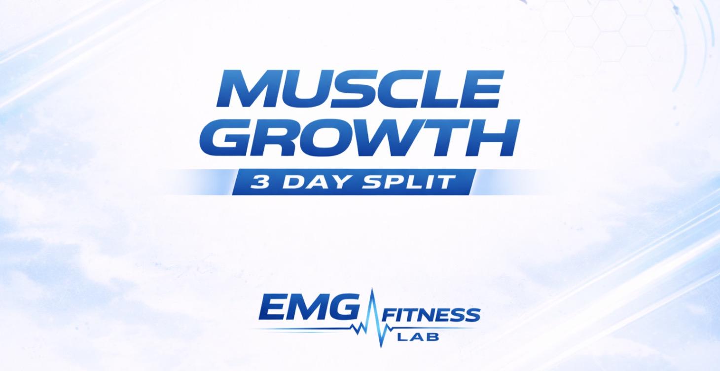 Beginner - 3 Day Split Muscle Growth