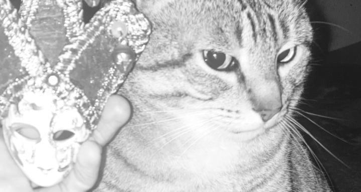 Jazz crazy experimental music