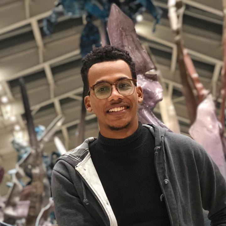 Hassan Shamy