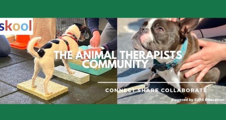 The Animal Therapist Community