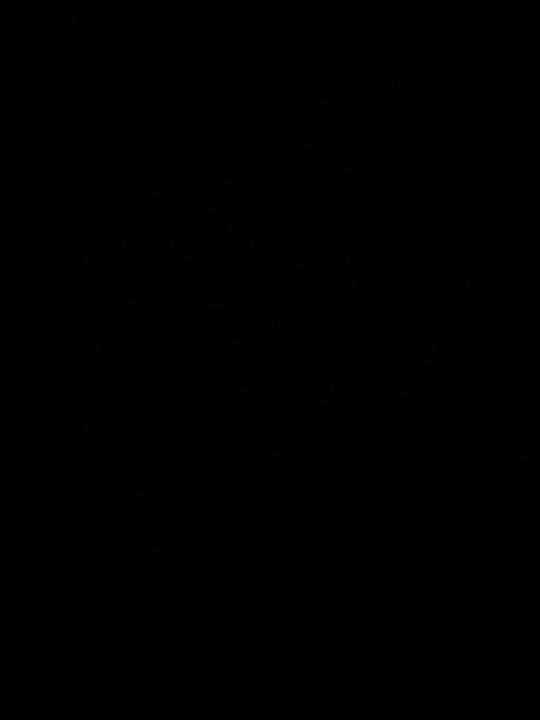 Yann Montiton-vicens