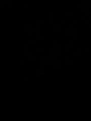 Yann Montiton-vicens