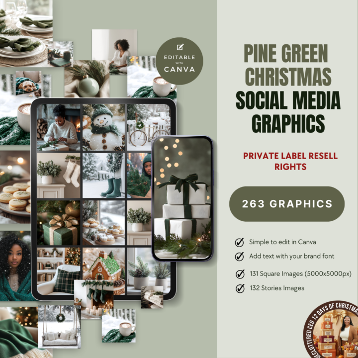 🎄 The 12 Days of Christmas Has Officially Started! 🎁