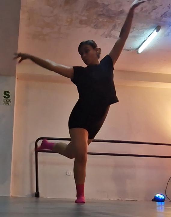 Ana Lucía Vargas Postigo