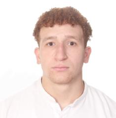 Saif Damous