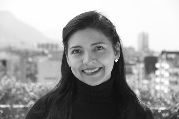 Irma Paola Quijano Villarreal