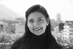 Irma Paola Quijano Villarreal