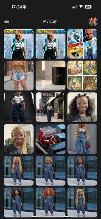 Gemini 3 Pro finally added an image library.