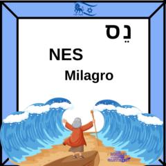 רומינה גלטשטיין
