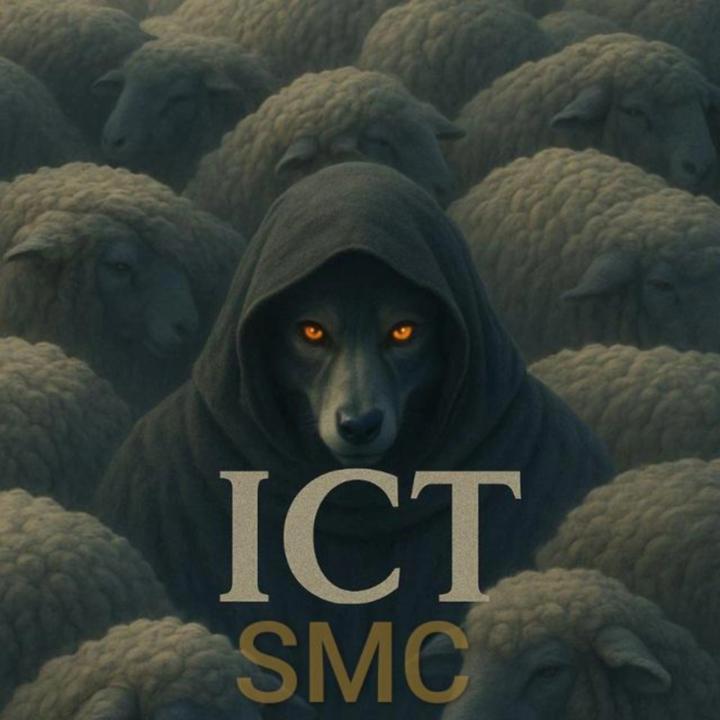 MohammadAli Rakhshani