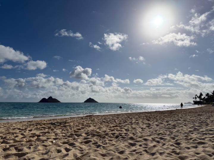 Anolani K