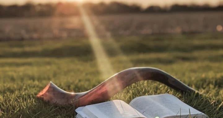 The ARC Forensic Academy