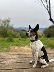 Laura Recasens calvo