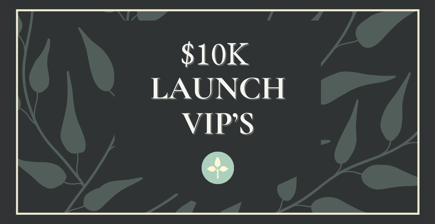 💎 VIP Only