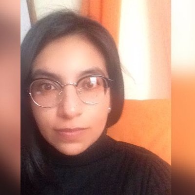 Laura Camila Pesellin Silva