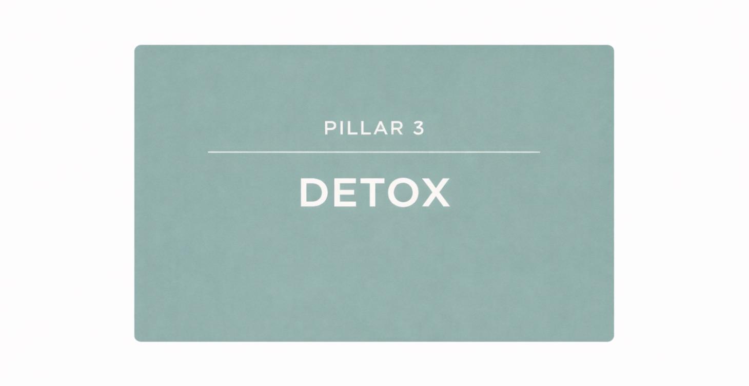 Pillar 3 — DETOX