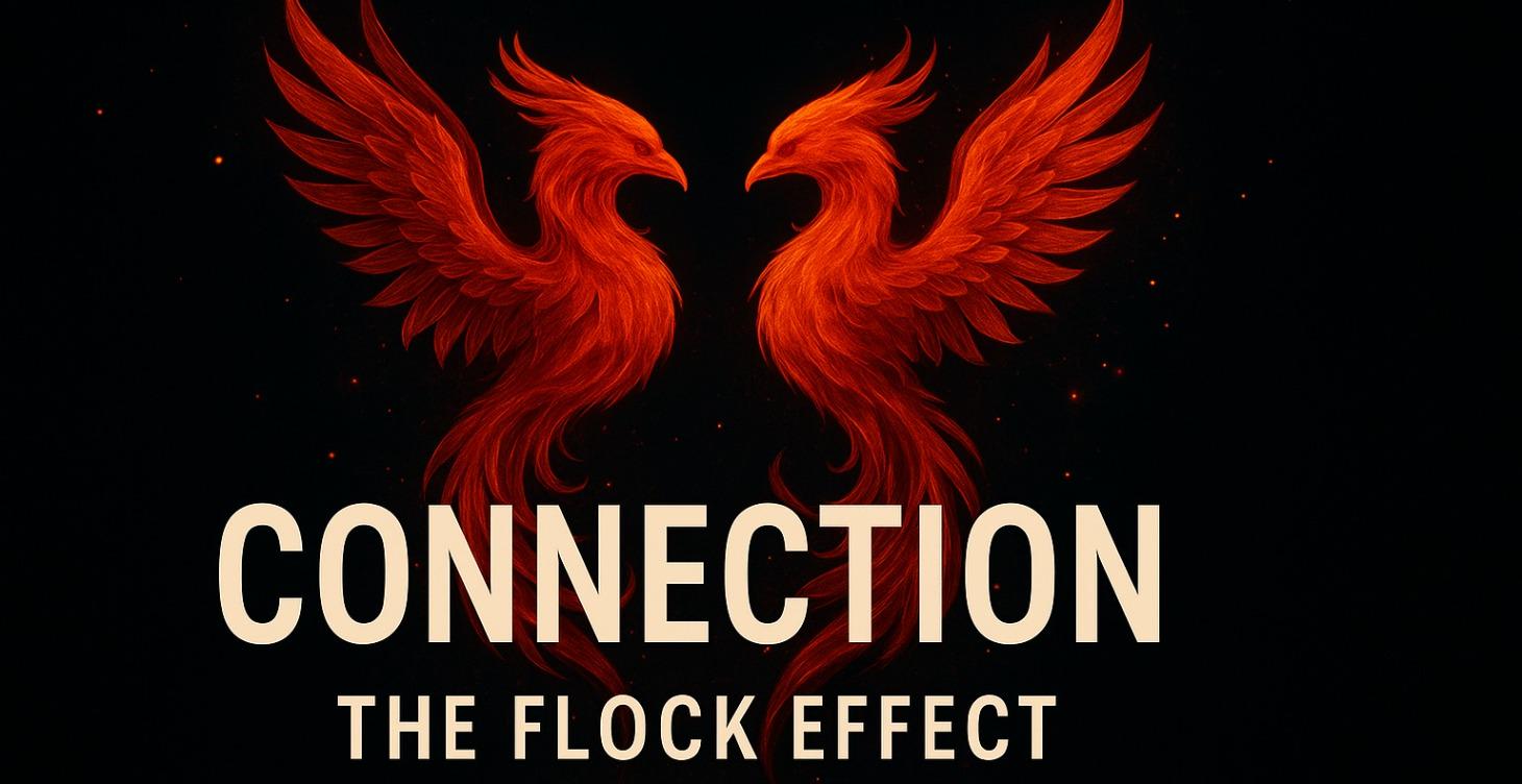 Connection: The Flock Effect
