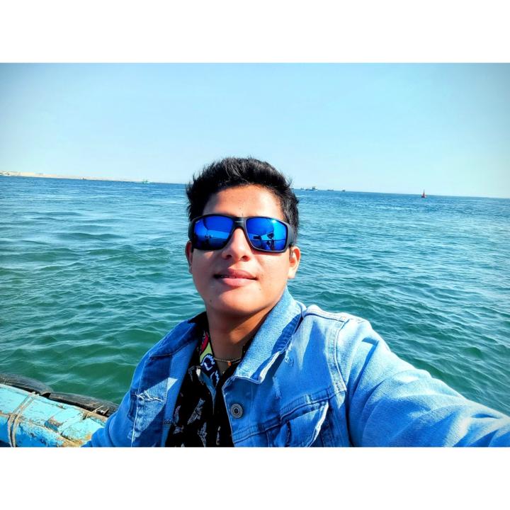 Joel Gonzales Castillo