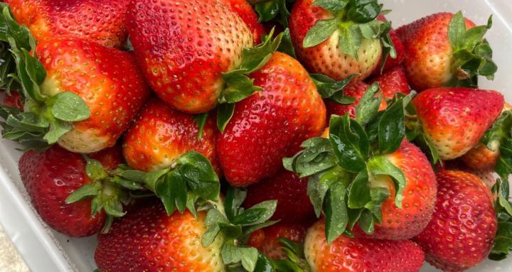 The Fundamentals Kitchen