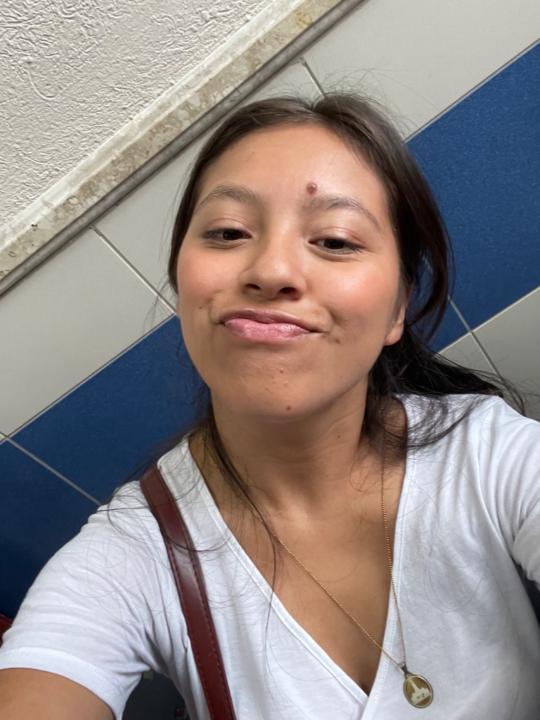 Shirley Wendy Flores Ricaldez