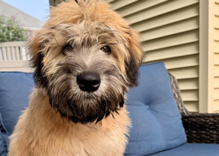 ✨ A Note From Me — and an Invitation to Reconnect ✨