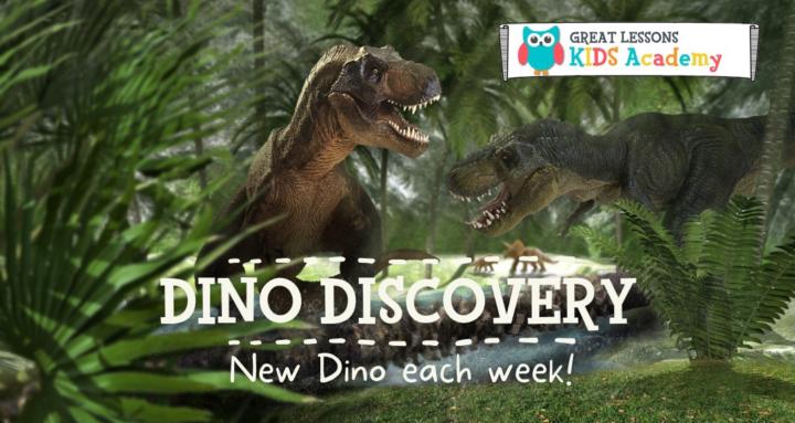 Dino Discovery Skool