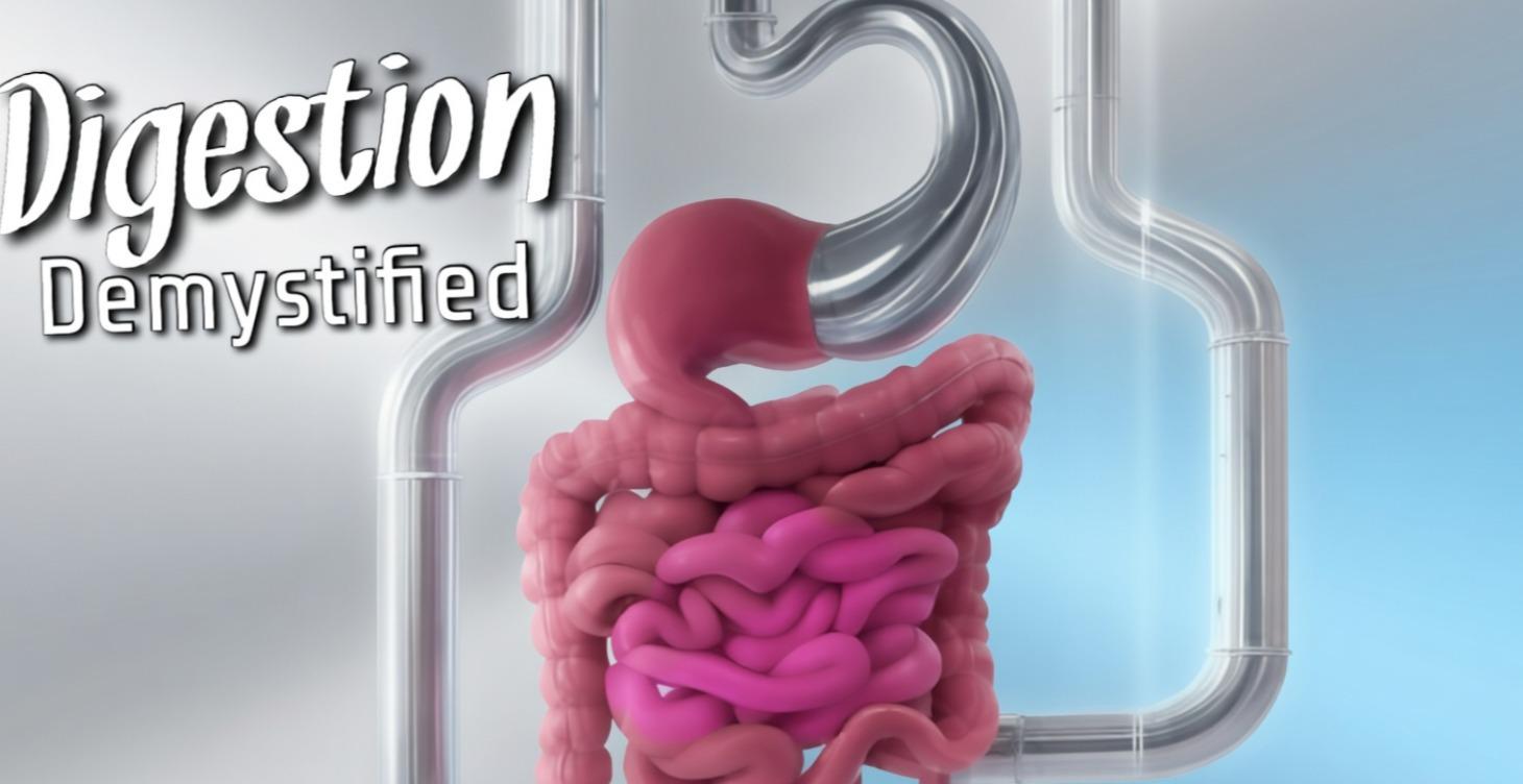 DIGESTION DEMYSTIFIED: CORRECT ALL DIGESTION