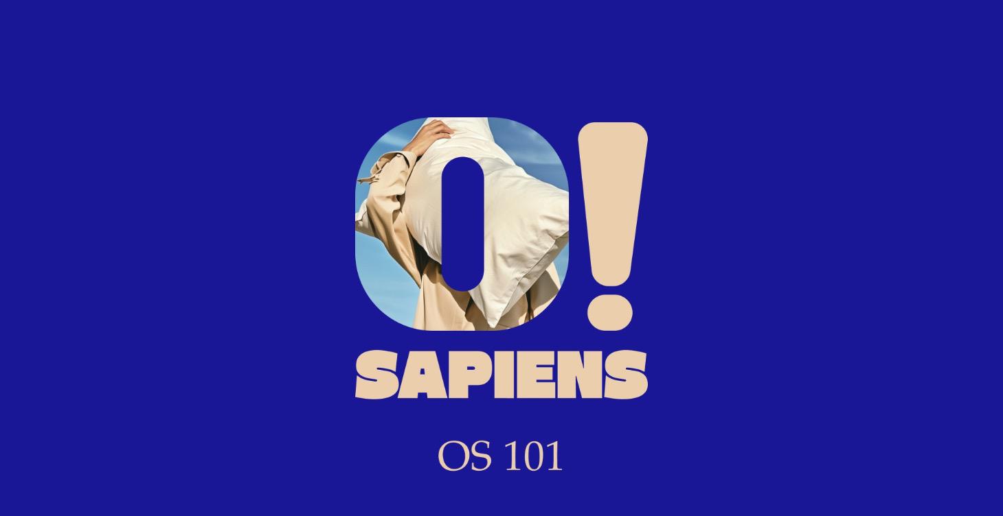 Sapiens OS 101