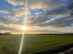 Aoife Van Linden Tol