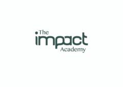 The Impact Academy