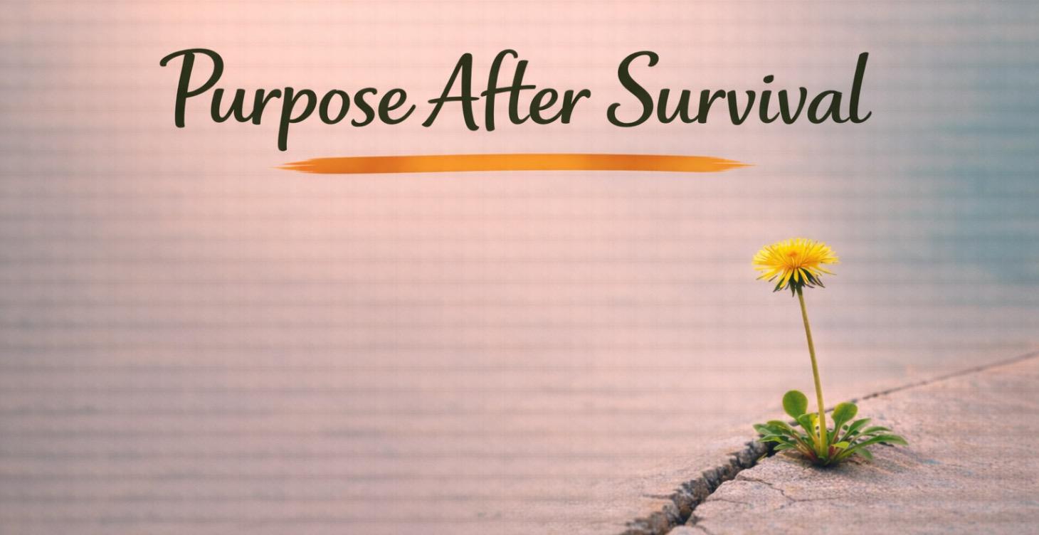 Purpose After Survival