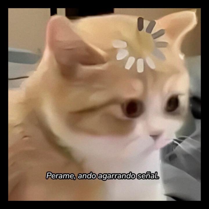 Ana Catalina Hernandez Rodriguez