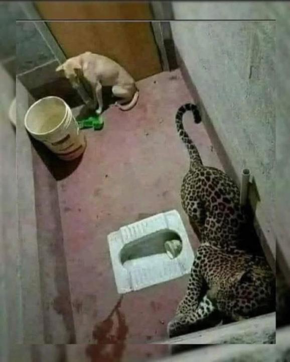 Tự do là đích đến của mọi nỗ lực!