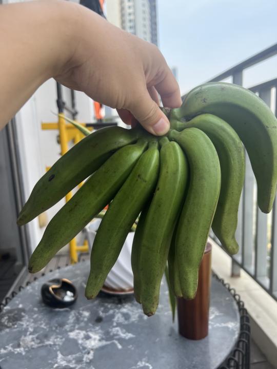 Hệ thống..