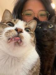 Amelie Yeh