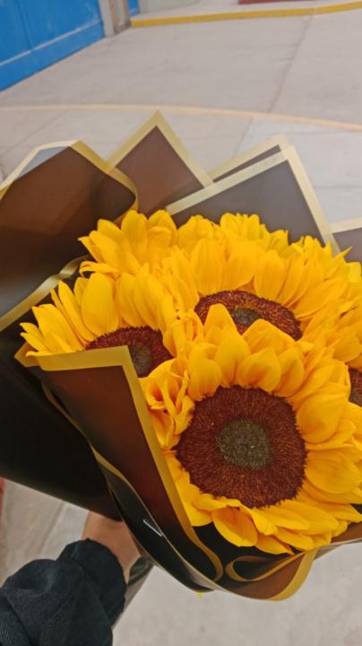 Waldo Mendoza Cosme e