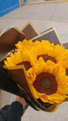 Waldo Mendoza Cosme e