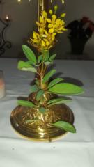 María Arteaga Chetumal Quintana rro