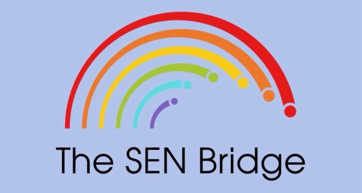 TheSENBridge