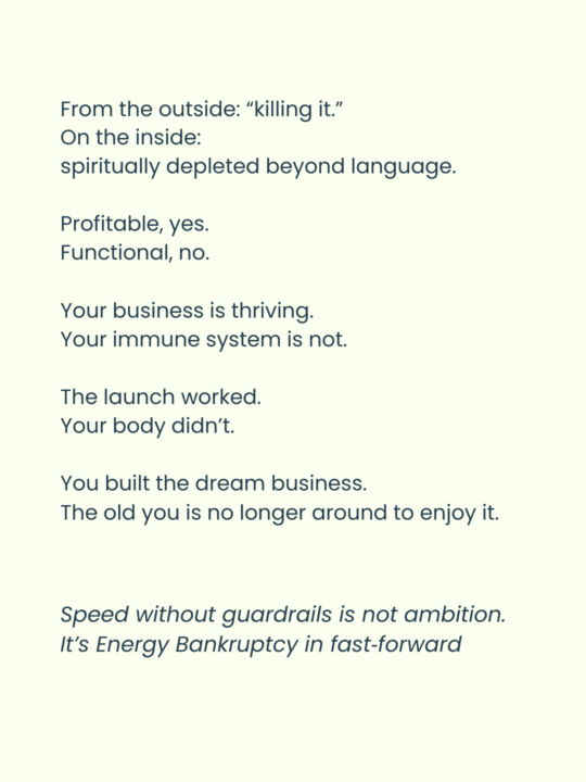 IS this NOT the online business model that looks “successful” while quietly bankrupting your nervous system??