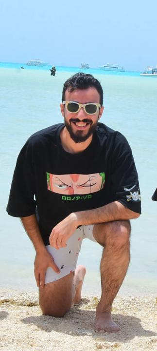 Hossam Shapan