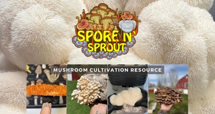 Spore n' Sprout Mushroom Class