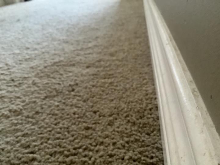 Jewel Scariah Santhosh