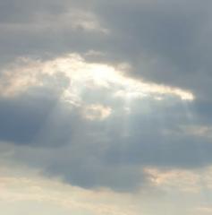 Christine Biedermann