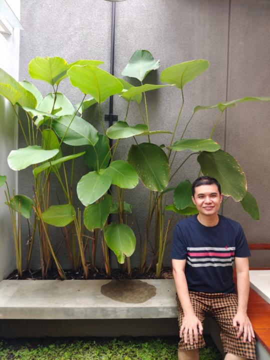 David Gunawan