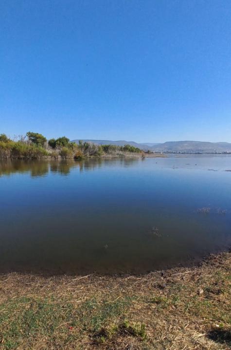 Gema de la Luz Bueno