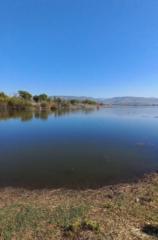 Gema de la Luz Bueno