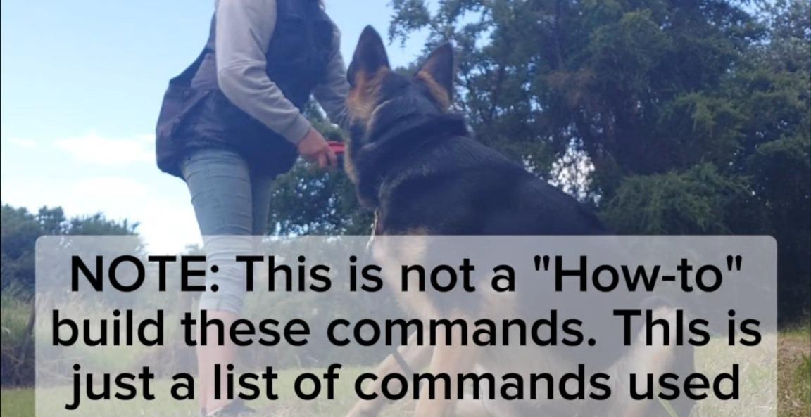 Commands to use during the tug toy game
